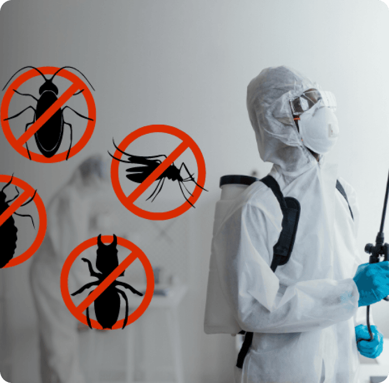 General Disinfestations Service Image